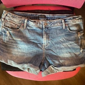Silver jeans Co denim shorts